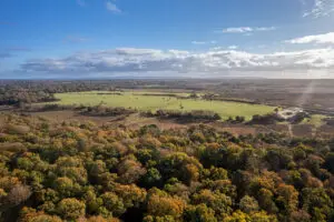 Drone aerial view of New Forest National Park in autumn showcasing vast landscapes of unenclosed pasture land, heathland, and dense forests in Hampshire, England.